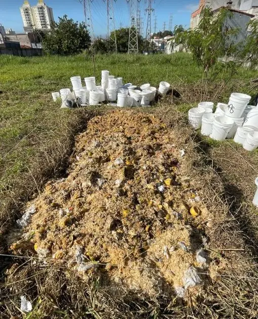 Leira de compostagem com resíduos orgânicos em processo de decomposição