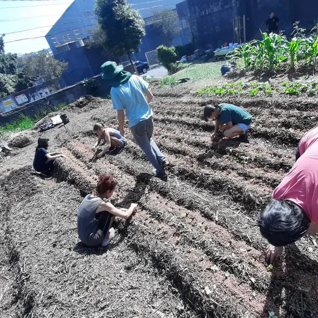 Grupo plantando mudas em canteiros de uma horta comunitária